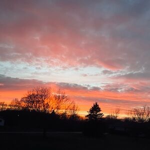 Meet your Posher, Peyton